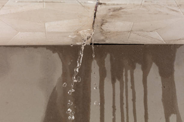 Professional Sewage Cleanup technician working in Pisgah Forest, NC